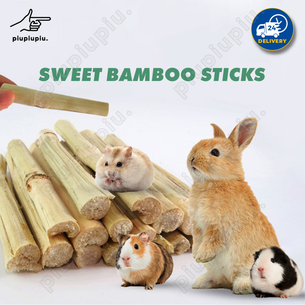 [24HR SHIP] SWEET BAMBOO MOLAR STICKS 100G Chew Sticks Rabbit Hamster