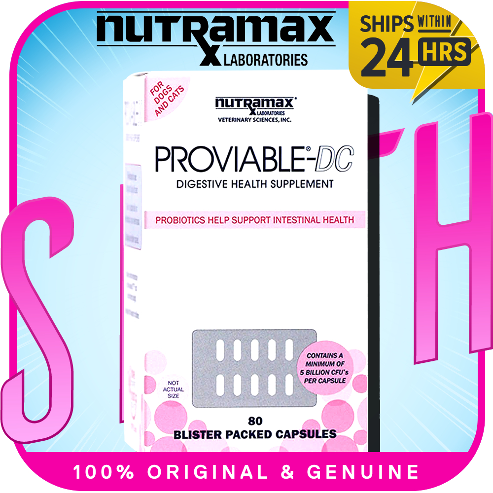 Nutramax probiotics best sale