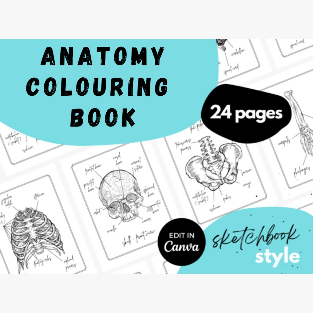 Digital Anatomy Colouring Book Anatomy Coloring Book Template Canva