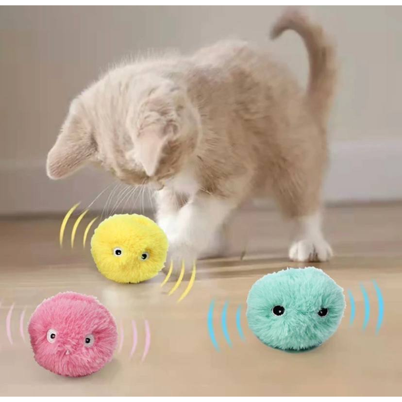 Cat shop toys shopee