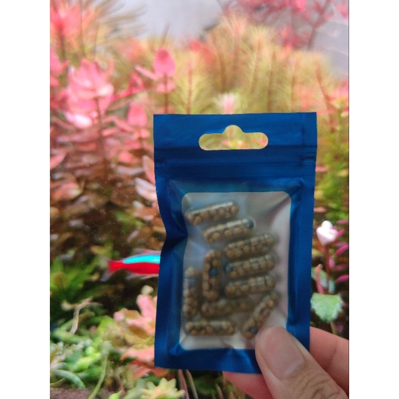 Root tabs aquarium plants fertilizer (10 cupsule) Shopee Malaysia