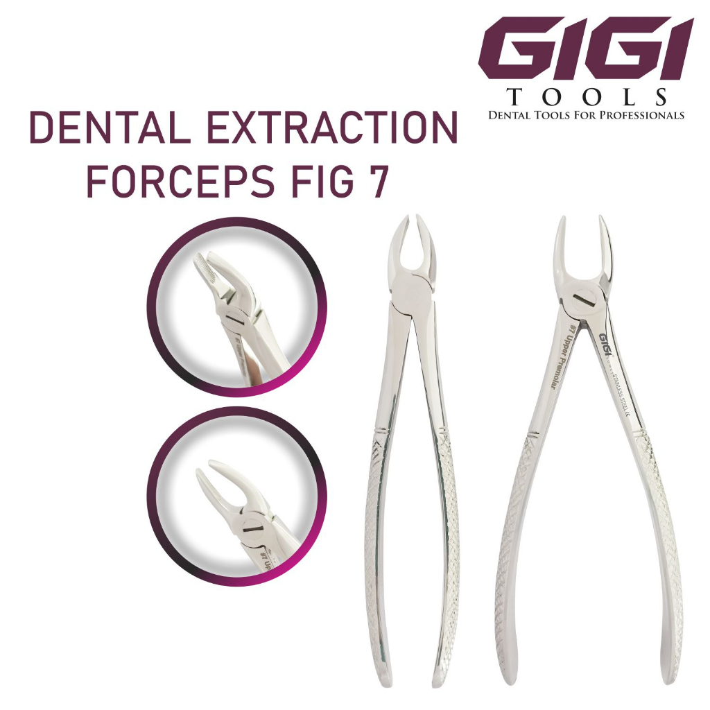GIGI Tools Upper Premolar Tooth Extracting Forceps FIG 7 Adult Forceps