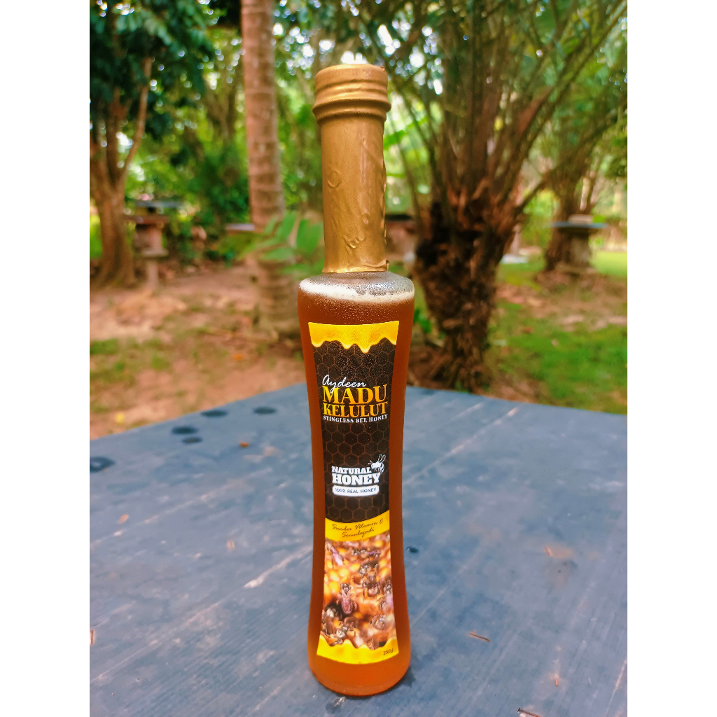 Aydeen madu kelulut 250gm | Shopee Malaysia