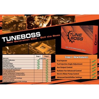 tuneboss r25