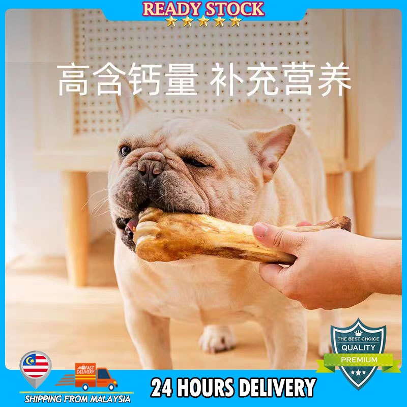 Premium Dog Molar Beef bone stick and Beef Kneecap Teeth Cleaning