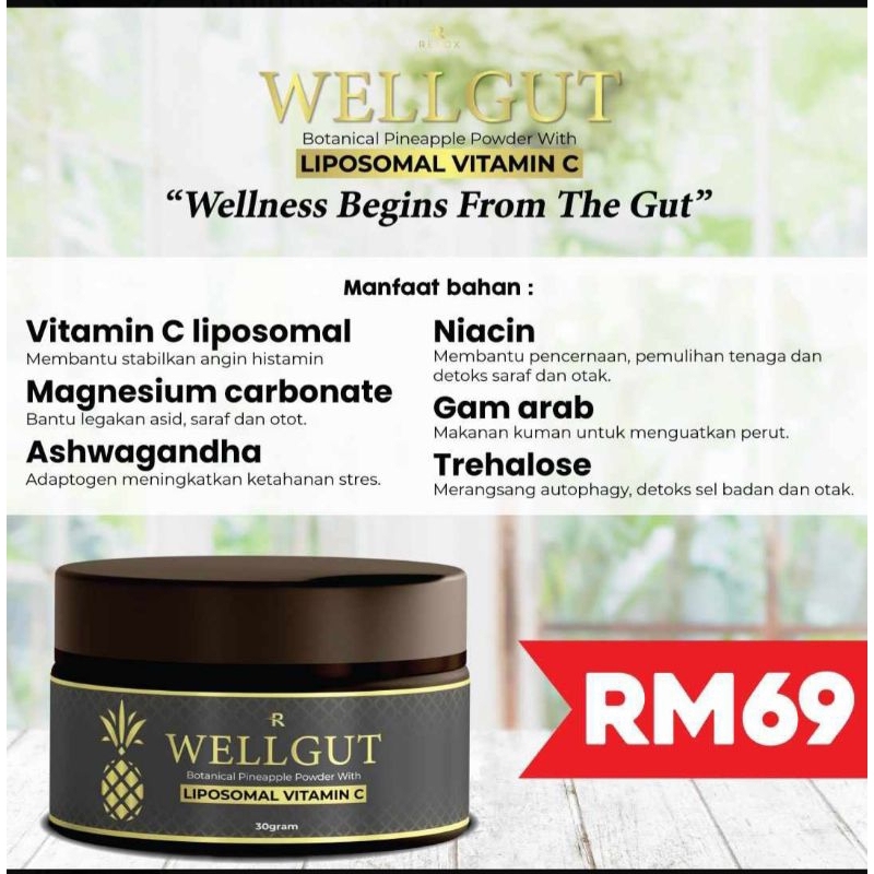 Redox Wellgut Pineapple Powder (GERD,Gastrik,Ekzema & Alahan) Shopee