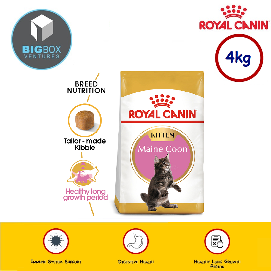 Royal Canin Maine Coon Kitten 4kg Ready Stock Shopee Malaysia