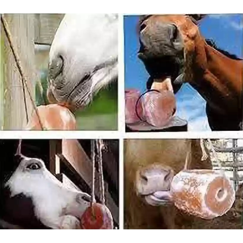 10kg+/- Animal Salt lick block/garam jilatan ternakan natural mineral ...
