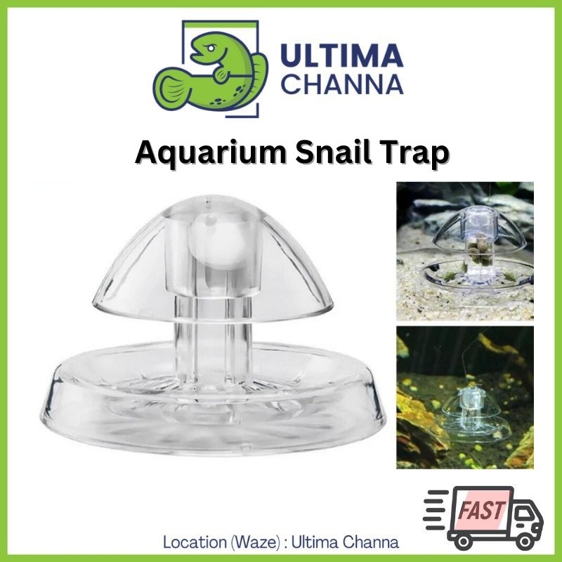 [Ready Stock] Aquarium Pest Snail Trap aquarium accessory snail removal