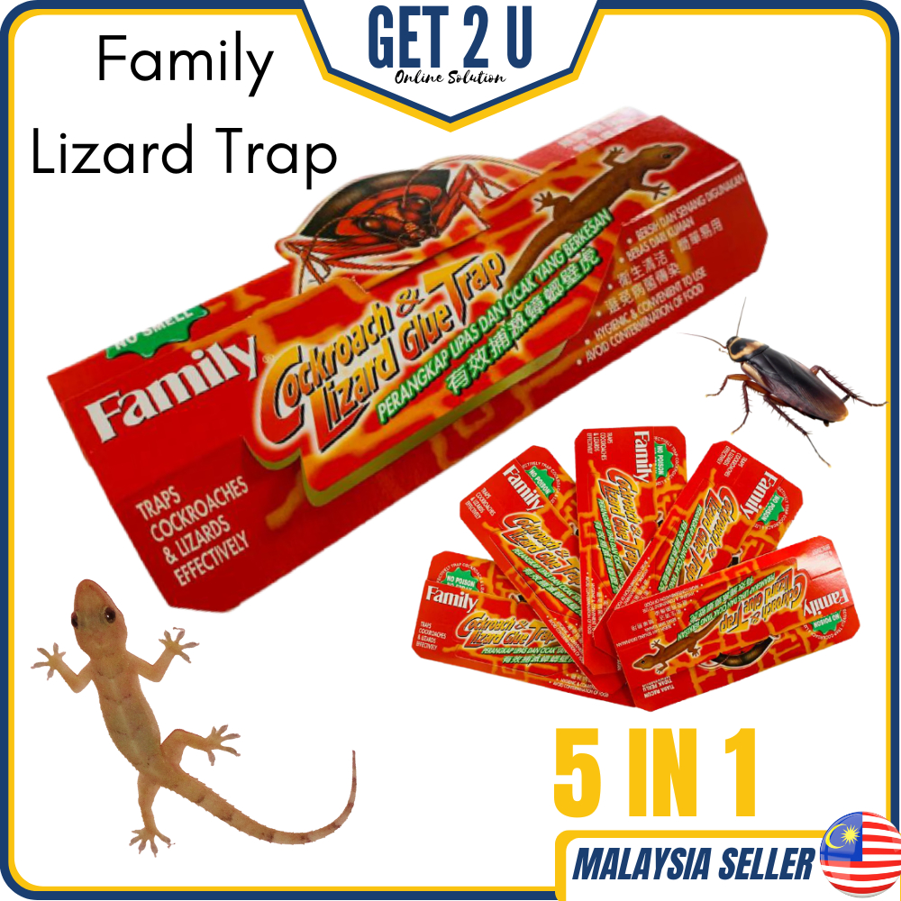 Ubat Cicak Family Lizard Glue Trap 5 PCS Cockroach Trap Roach Bait Killer  Gam Tangkap Cicak Perangkap Cicak Lipas GET2U