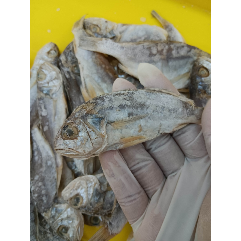 Ikan Masin Gelama Jeruk Borong 500g 1kg Shopee Malaysia