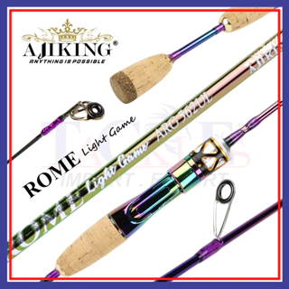 Ajiking Rome Jigging Saltwater Conventional Fishing Reel Max Drag (10kg)  ARJ-300 Left & Right Handle Available