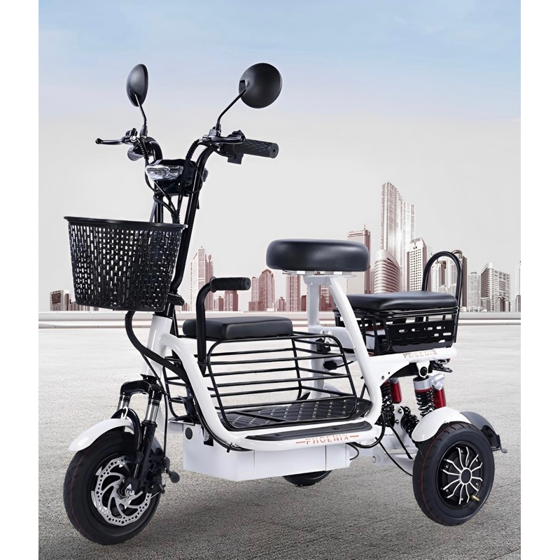 New Mini Ebike 800W Tricycle Electric Bike Folding Light Ebike Powerful