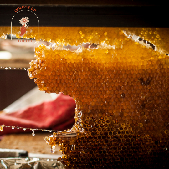 Turkey Organic Mountain Honey comb (250g-1KG) | Shopee Malaysia