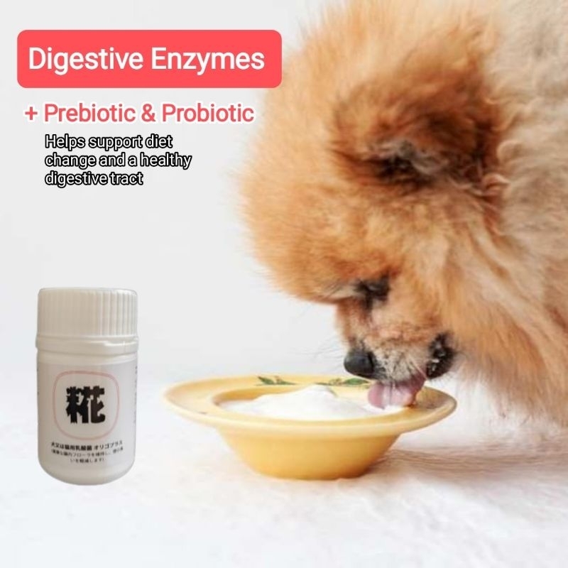 Dog Probiotic Prebiotic Supplement 狗狗益生菌 All Natural 50g | Shopee Malaysia - Natural Prebiotic Dog Food