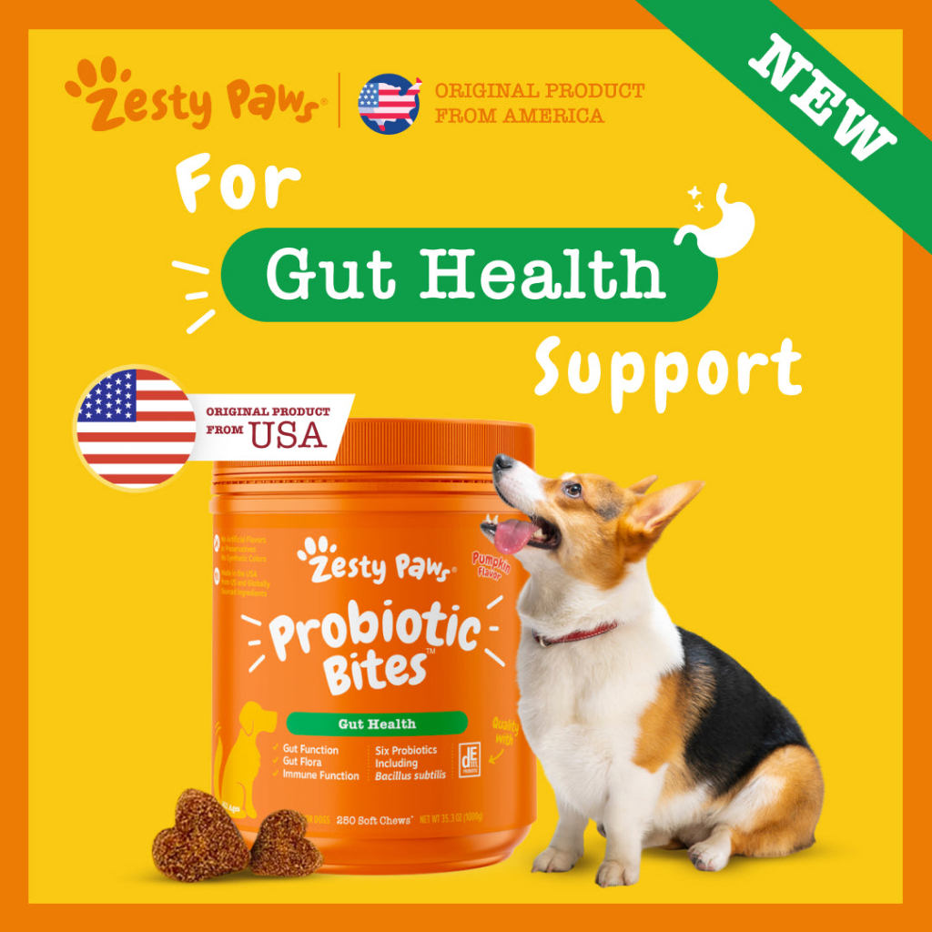 Zesty Paws Probiotic Bites for Dogs Gut Health [Pumpkin Flavor] (250 Soft Chews) (EXP02 2024