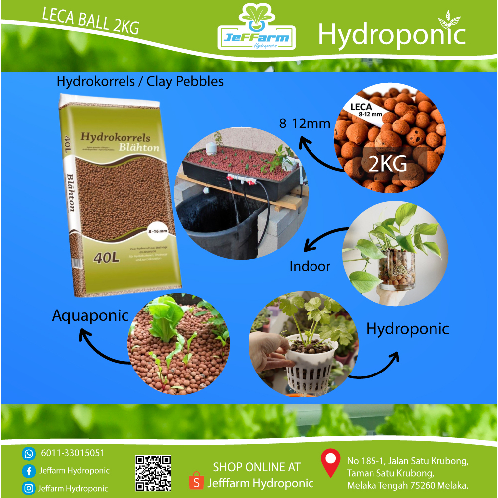 Hydrokorrels aanbieding bij Action