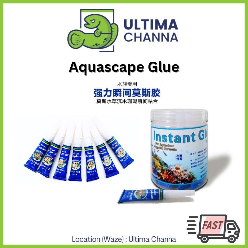 Guo Elephant Glue 5g cyanoacrylate adhesive super glue, suitable for