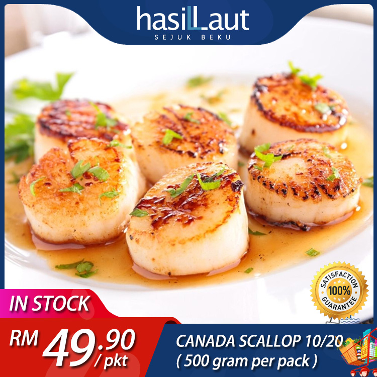 【READY STOCK】CANADA SCALLOP (10/20) 500GRAM | Shopee Malaysia