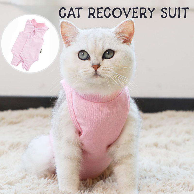 Cat Recovery Suit Pets Kitten Recovery Weaning Suit Prevent Licking ...