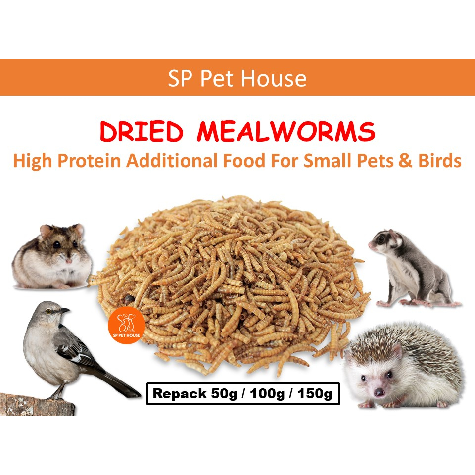Dried Mealworm 100 Naturally Processed Repack 50g/100g/150g Dried