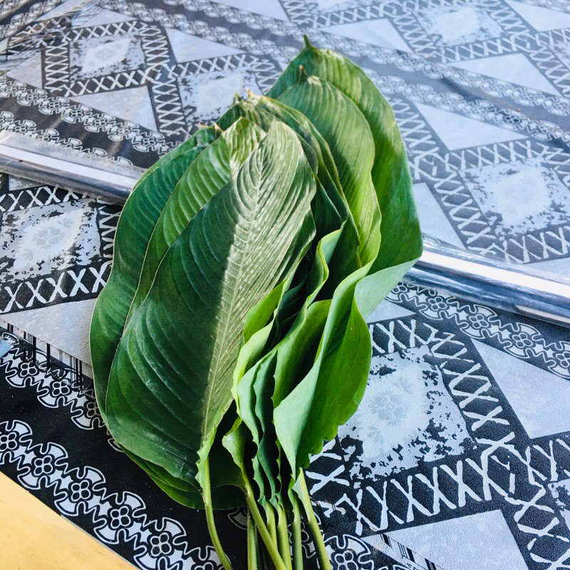 Daun Lerek/Lirik 10 Helai | Shopee Malaysia