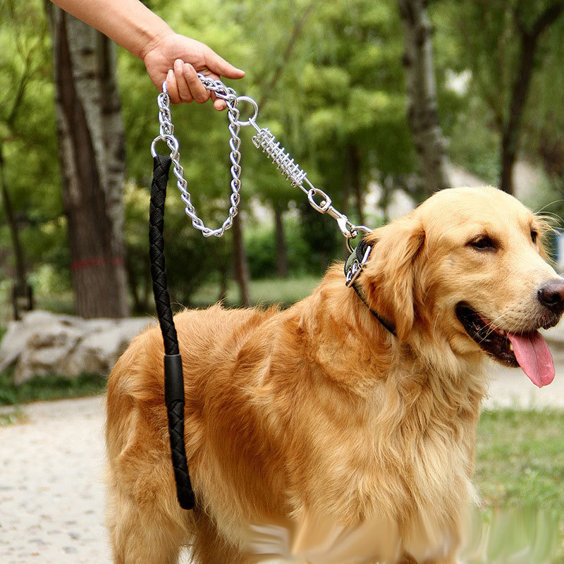 Thick chain best sale dog lead