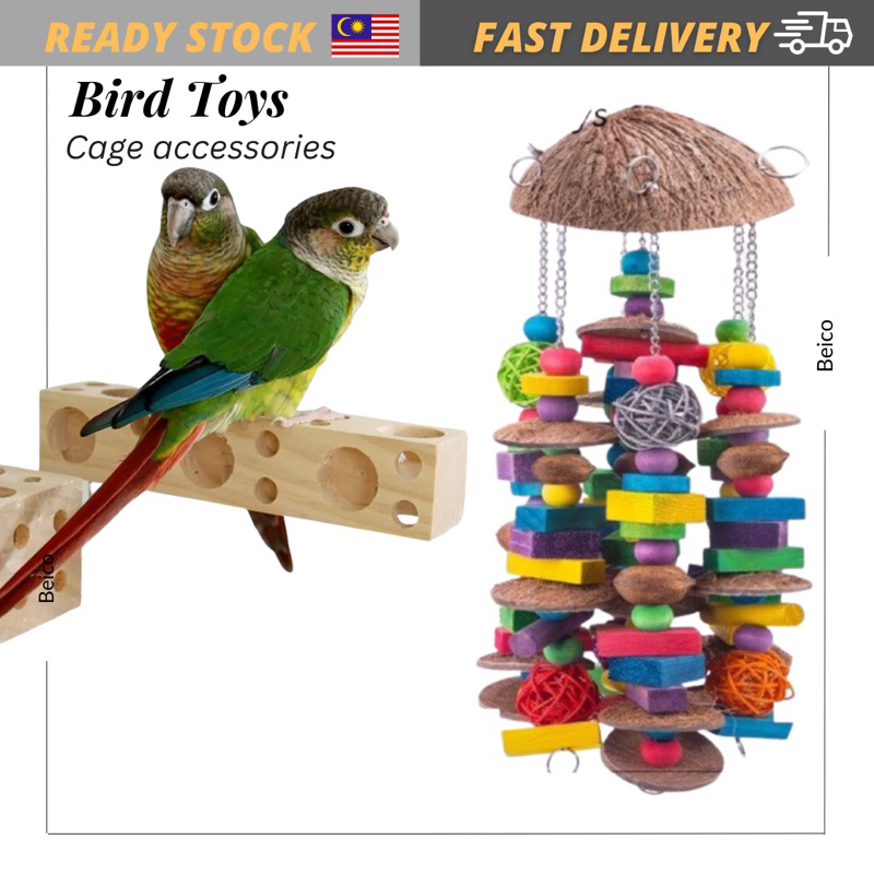 Best parrot toys best sale