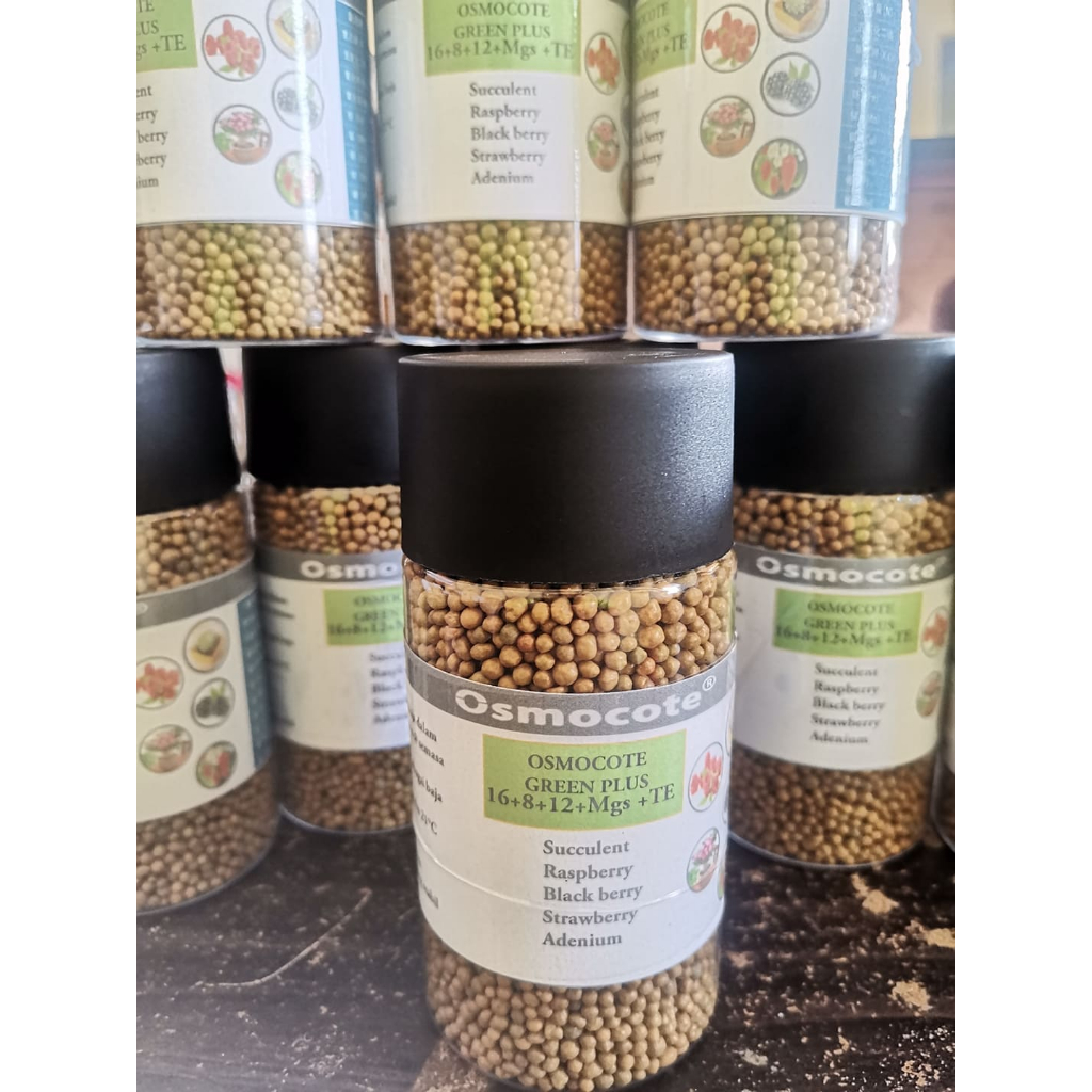 Baja Osmocote Berries (Osmo Green Plus) Shopee Malaysia