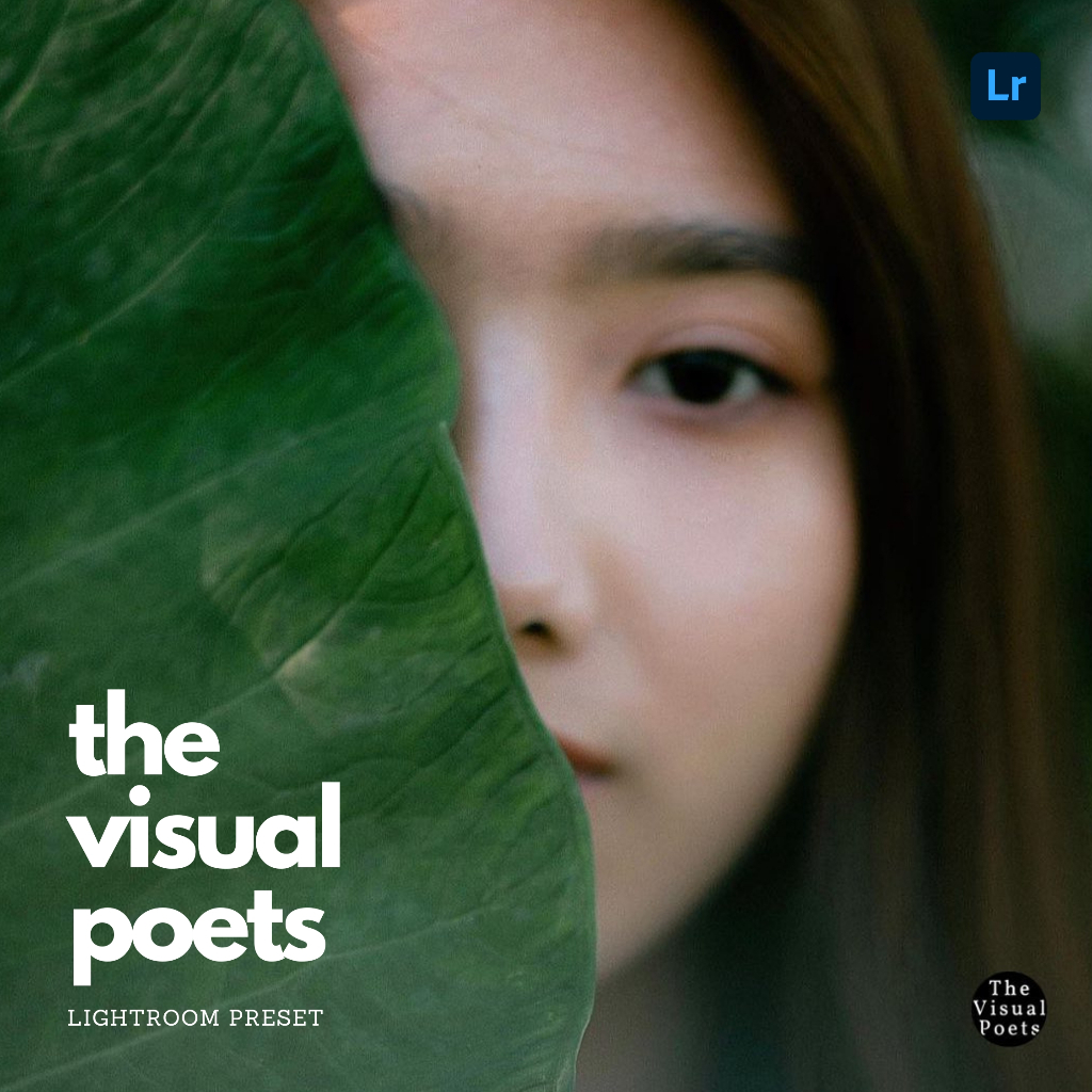 [Mobile & Desktop] The Visual Poets LR Preset | Shopee Malaysia