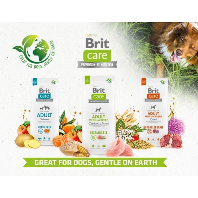 Brit care 2024 puppy food