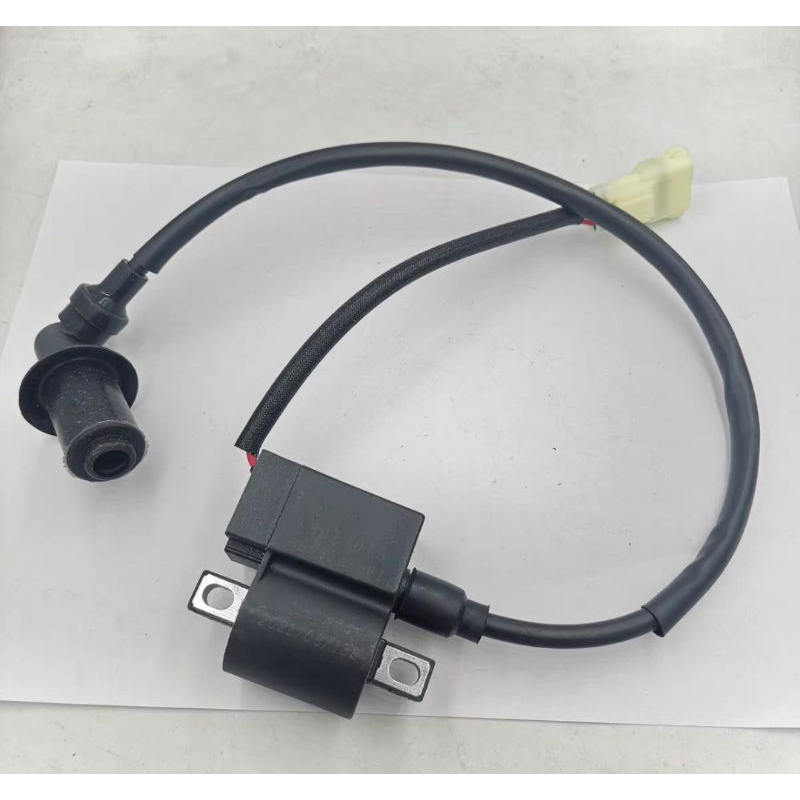 Mikilon Pentora 250cc Spark Plug Coil. Shopee Malaysia