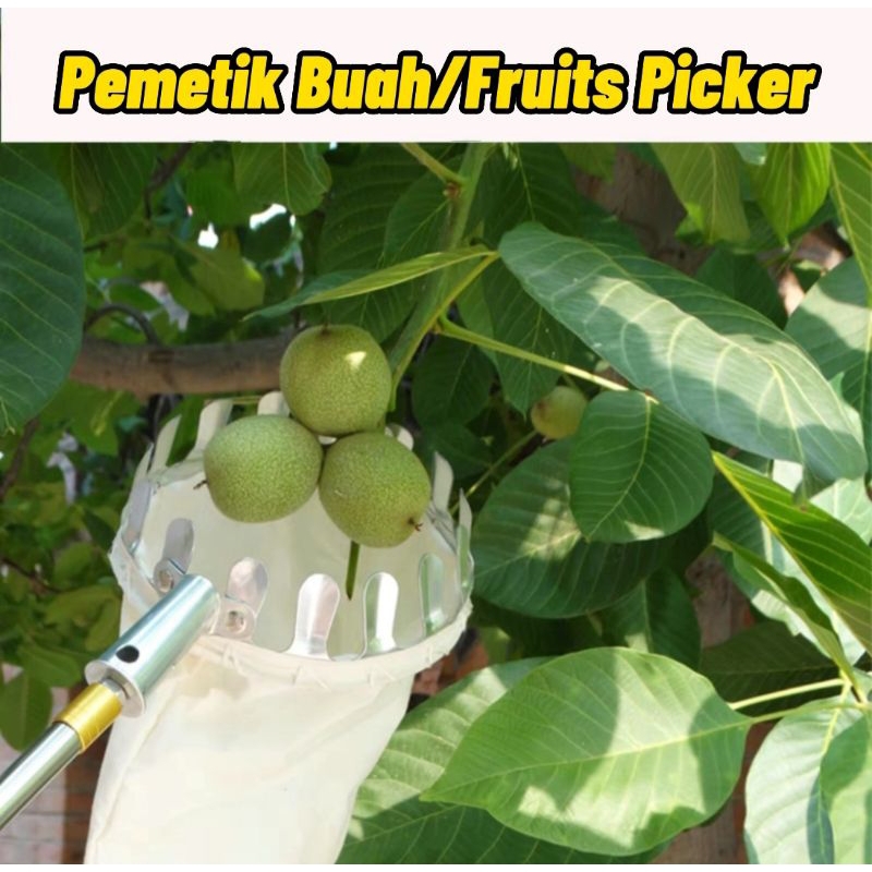 Galah Pemetik Buah/Fruits Picker/High Quality/Ready Stock | Shopee Malaysia