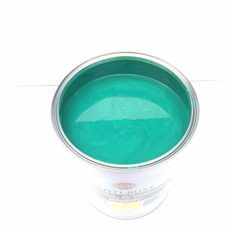 Camlux Metal Paint 18Liter 13080 Petronas Green Paint/Waste Disposal