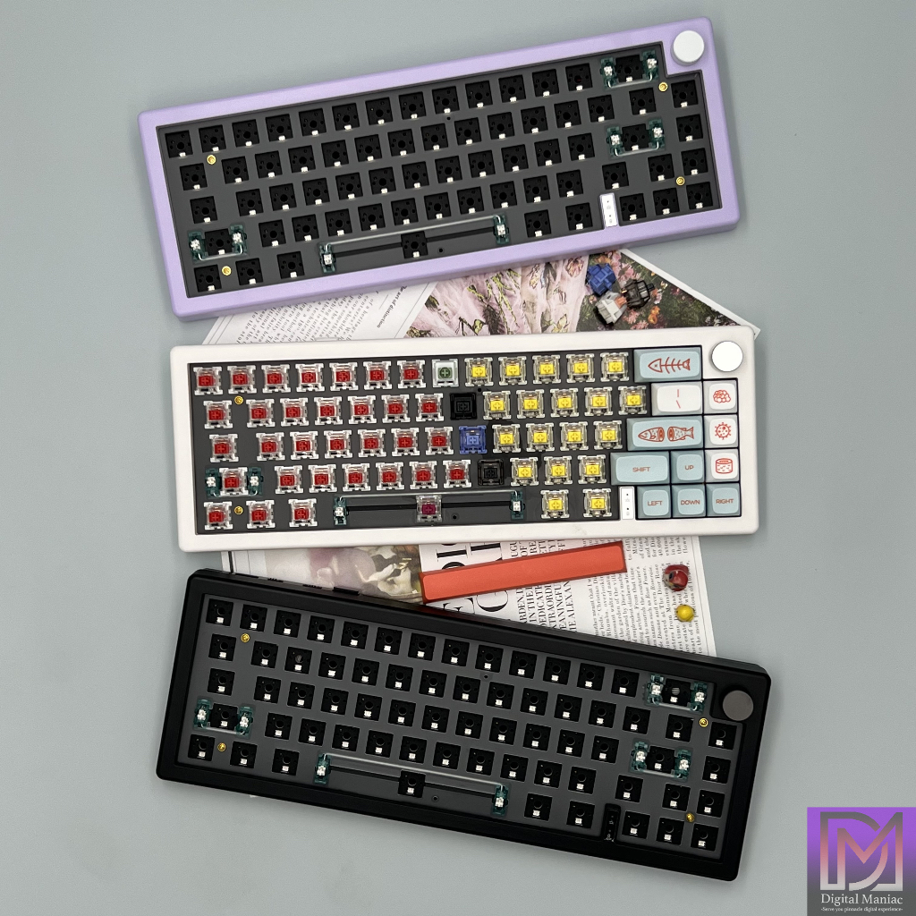 [LOCAL STOCK] ESC66 GMK67 Keyboard Kit 65 Zuoya Hotswap Bare Bone