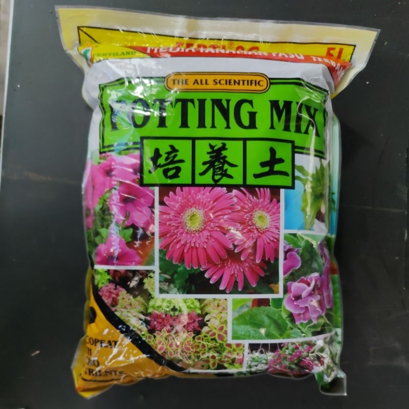 (READY STOCK) ALOCASIA SOIL MIX CALADIUM SOIL MIX SEEDLING SOIL