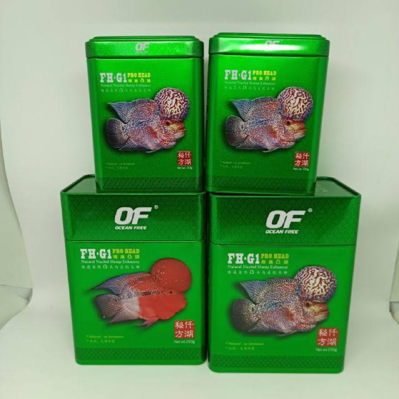 🎁FREE GIFT🎁 Ocean Free FHG1 Premium Flowerhorn ProHead Flowerhorn