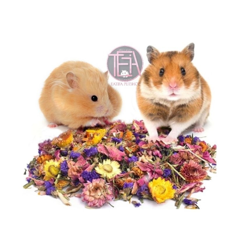 Hamster Natural Flowers Grass Bedding 50g Shopee Malaysia
