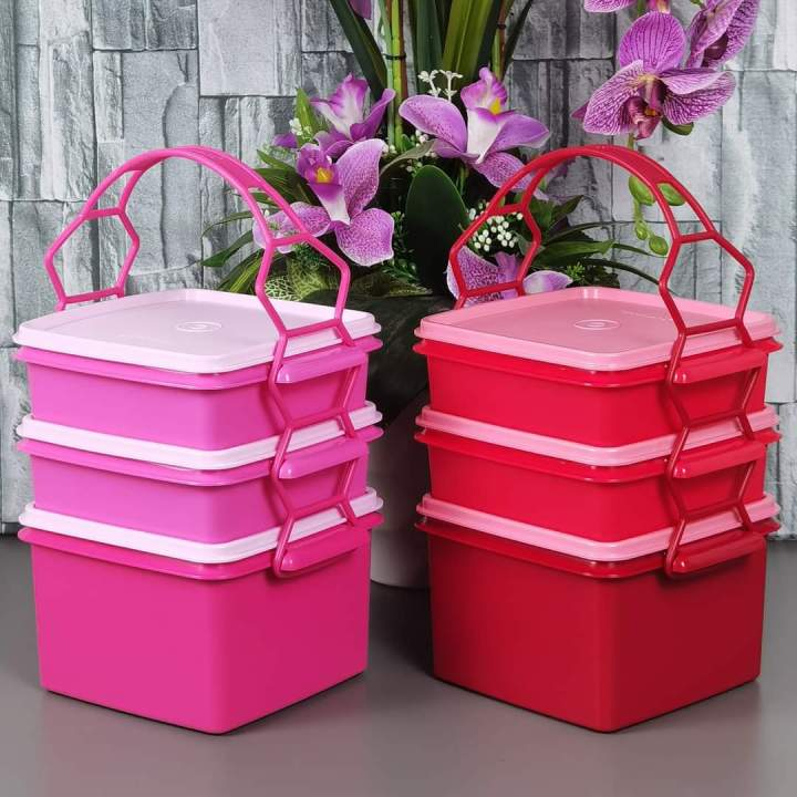Tupperware Triffin Delight Set/ Lunch Box Handle/ Small Goody Box with ...
