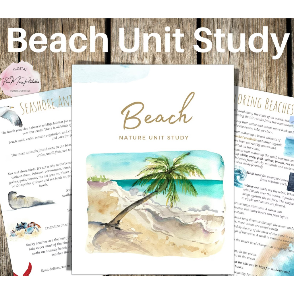 PDF] Beach Unit Study 90 pages Busy Quiet Book Learning Kids Printable ...