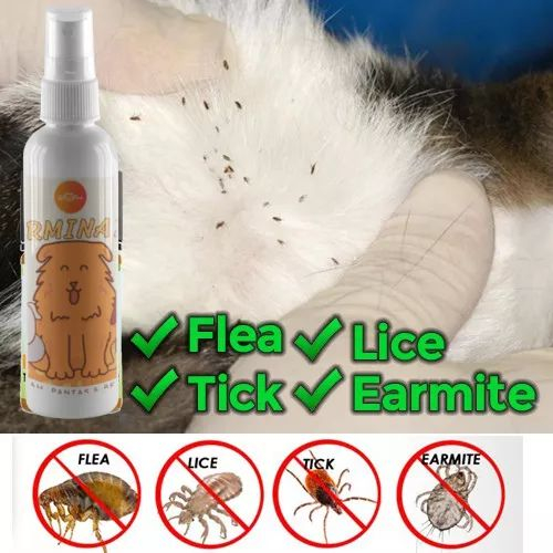 Ubat Kutu Kucing Spray Cacing Kurap Hama Telinga Mata Cat Flea Drop Anti Lice Tick Earmite Pet
