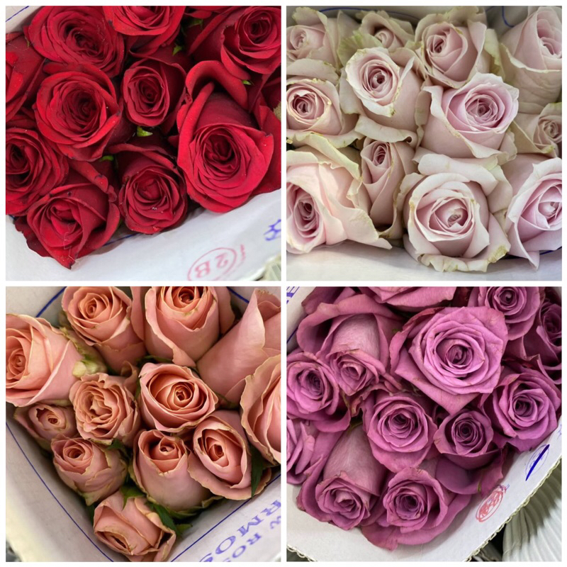 Ready Stock Fresh Flower Rose Bunga Segar (10 pcs) | Shopee Malaysia