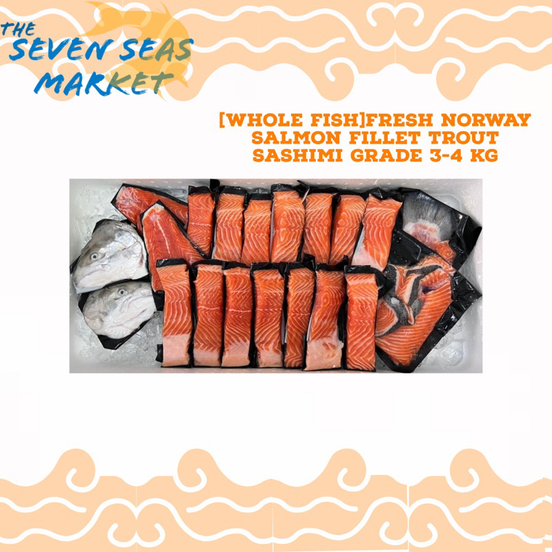 Fresh Norway Salmon trout Sashimi Grade 3.4-3.9 KG Whole fish | Shopee