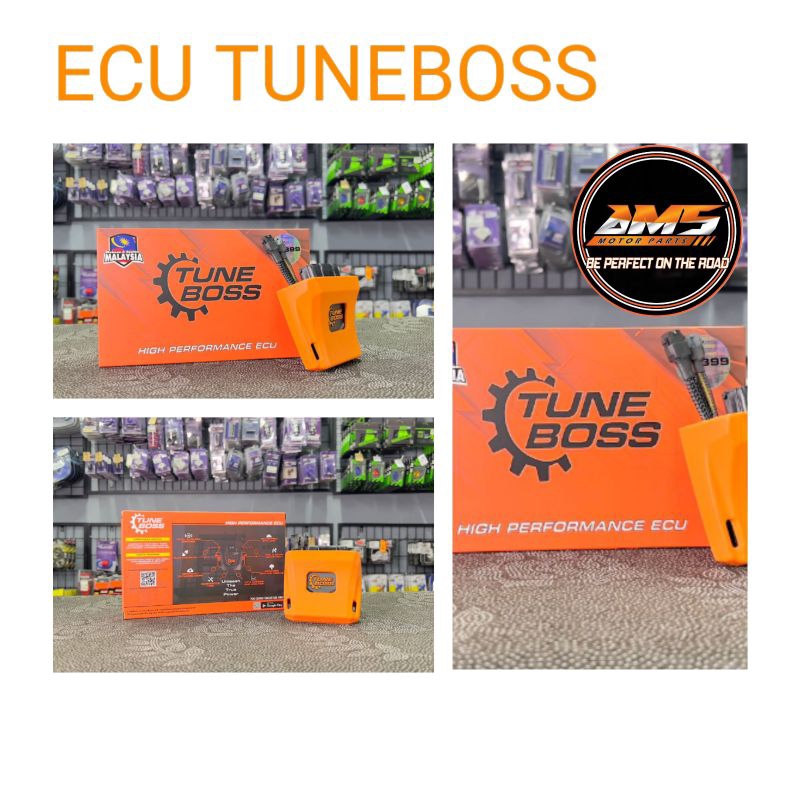 tuneboss r25