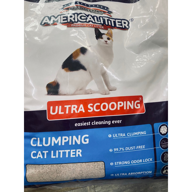 America litter dust free best sale