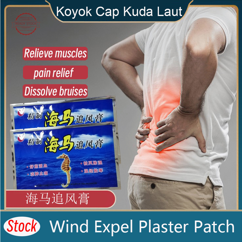 精制海马追风膏 一包5贴 Refined Sea Horse Pain Relief Patch Paste止痛膏布 祛湿贴Medicated ...