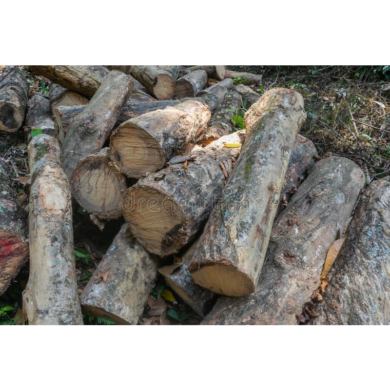 Rubber wood logs wood chunks kayu getah bahan api BBQ firewood( minimum 1 tonne) Shopee Malaysia
