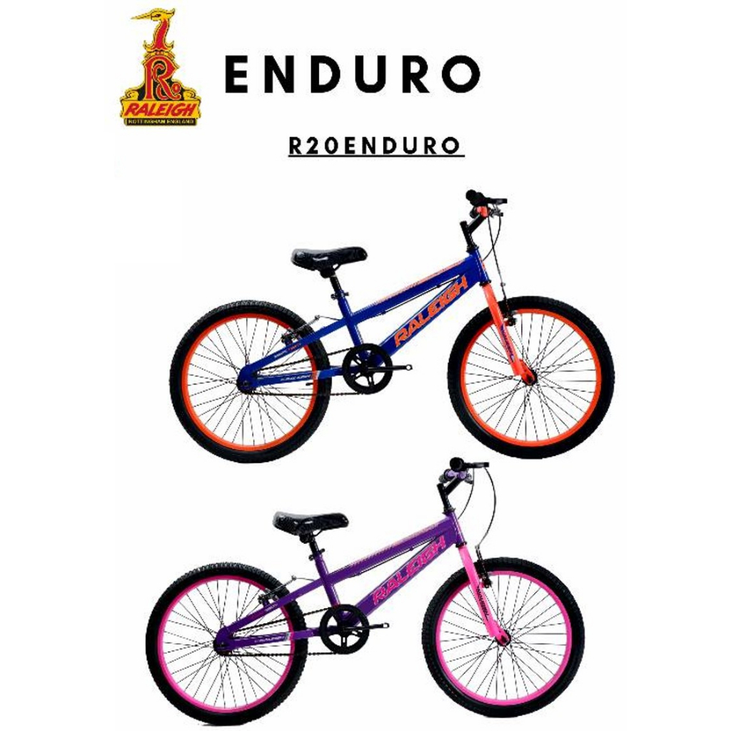 raleigh enduro pro