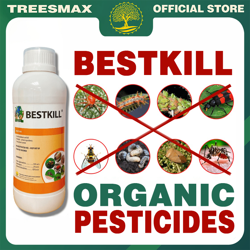 Bestkill The special organic pesticides ( insecticide ) made from