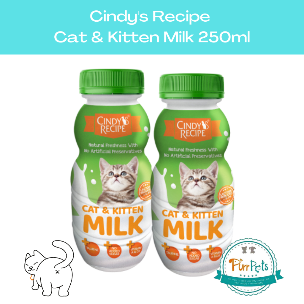 Cindy's Recipe Cat & Kitten Milk Susu Kucing 250ml Shopee Malaysia